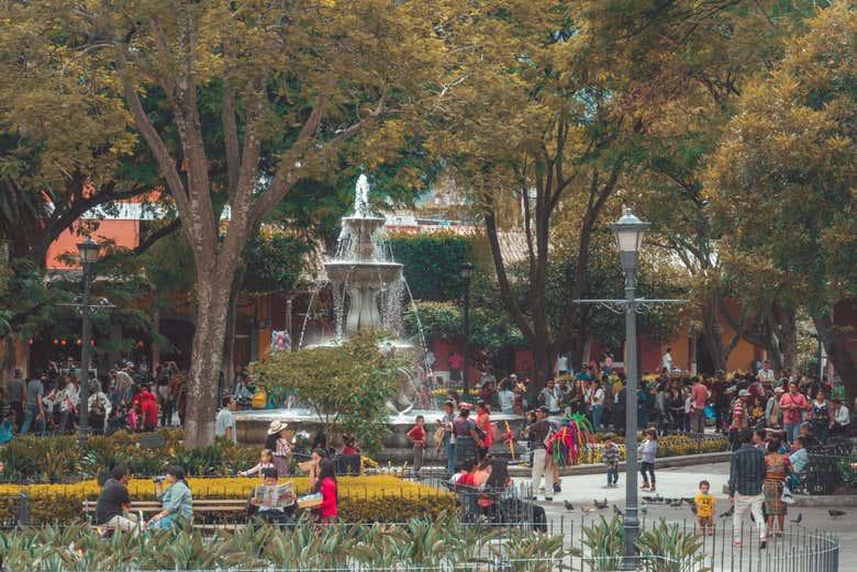Excursión a Antigua Guatemala + Visita a una finca cafetera