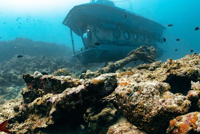 Paseo en submarino por Grand Baie