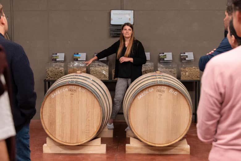 Visita a la bodega Oinoe La Città del Vino
