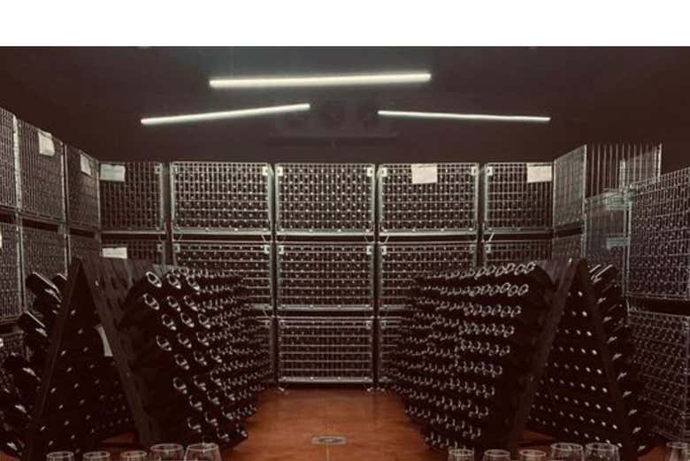 Visita a la bodega Oinoe La Città del Vino