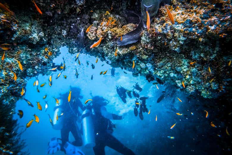 Bautismo de buceo en Bonaire