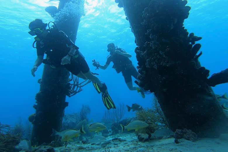Bautismo de buceo en Bonaire