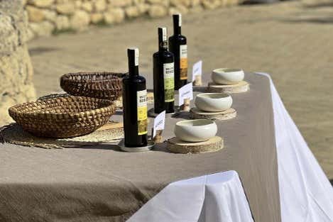 Visita a un olivar de la Provenza