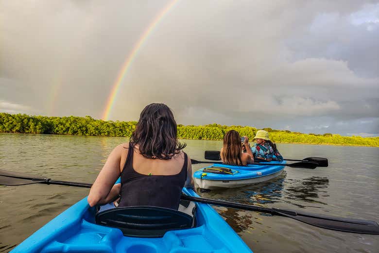 Tour en kayak por los manglares de Chiriquí