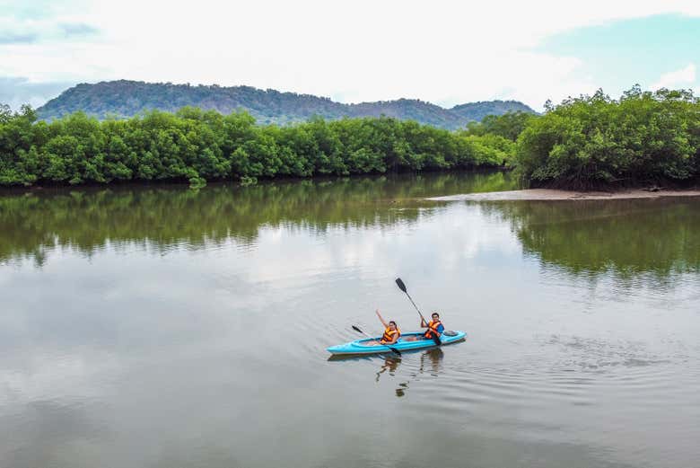 Tour en kayak por los manglares de Chiriquí