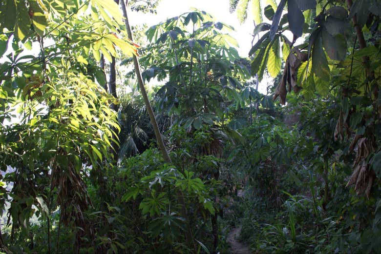 Tour de aventura en María Chiquita