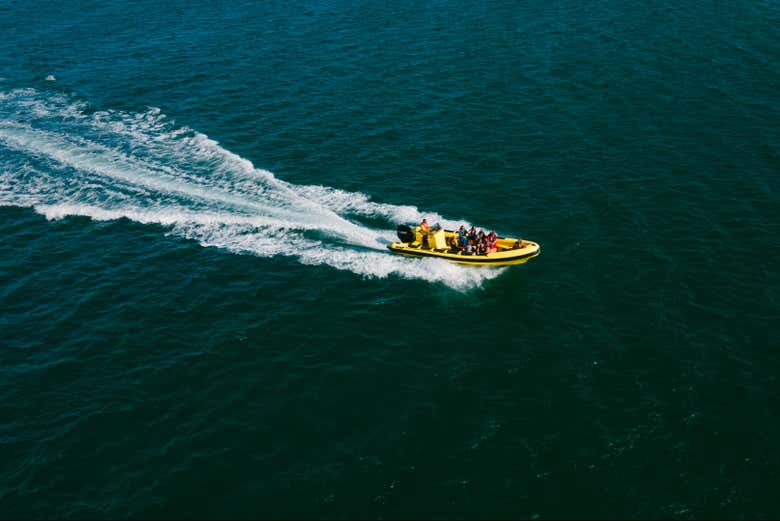 Barco a las islas Deserta, Farol y Culatra