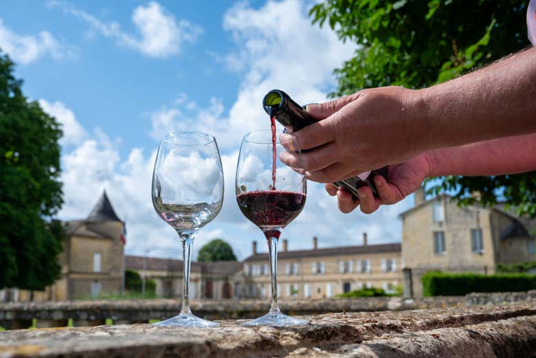 Tour del vino por Pessac-Léognan y Graves en grupo reducido