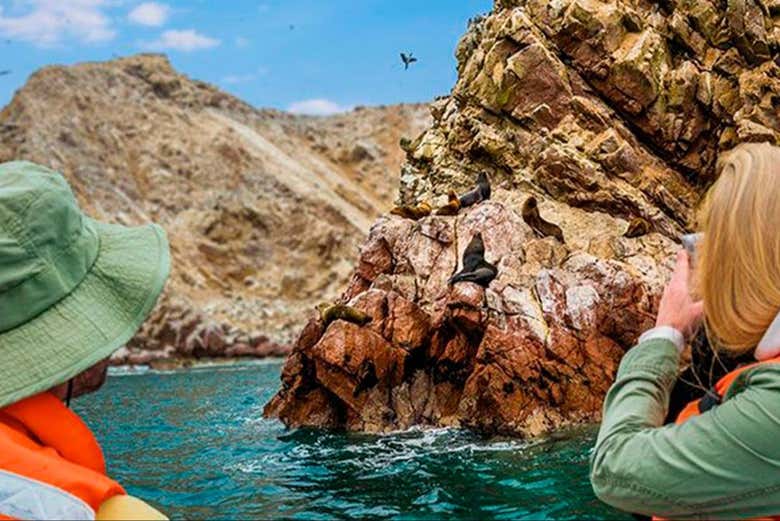 Excursión de 2 días a Paracas y Huacachina