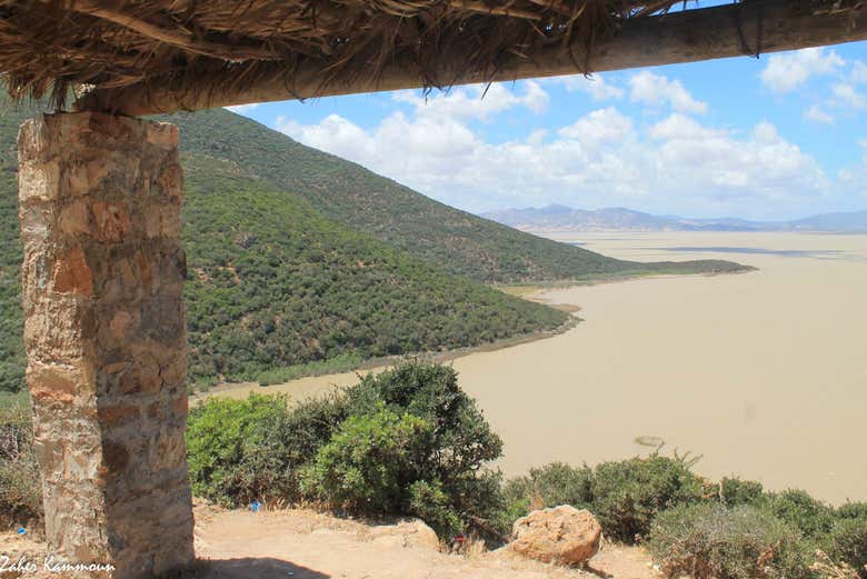 Excursión a Útica, Ghar El Melh, Bizerte, cabo Angela e Ichkeul