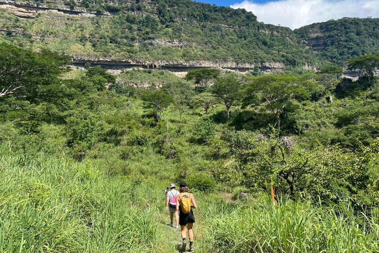 Senderismo por el Camino Real hasta el cañón del Río Suárez