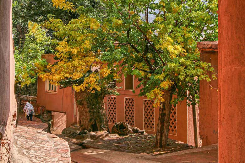 Excursión privada a Abyaneh