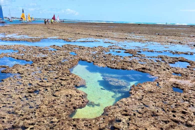 Paseo en jangada por Porto de Galinhas