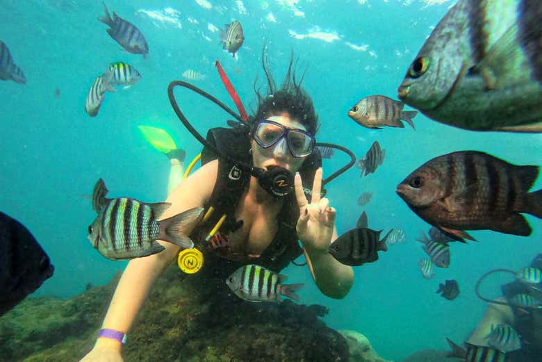 Buceo en Porto de Galinhas
