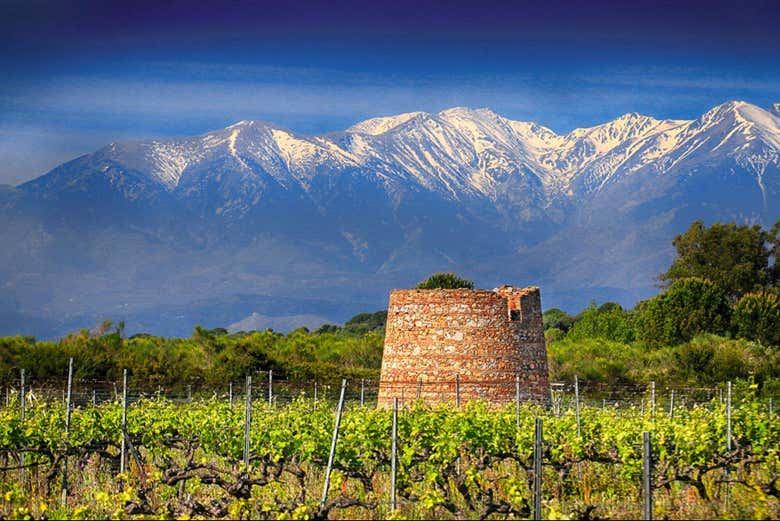 Visita a la bodega Rombeau
