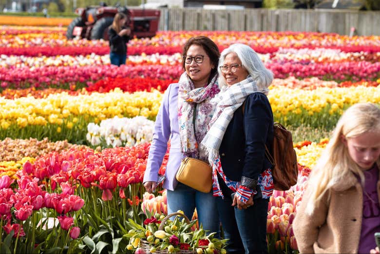 Entrada a Tulip Experience Amsterdam