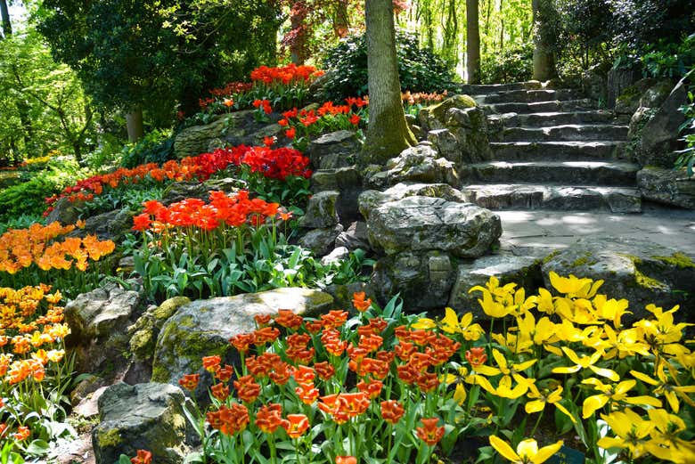 Excursión a Keukenhof y Zaanse Schans - Galería 2
