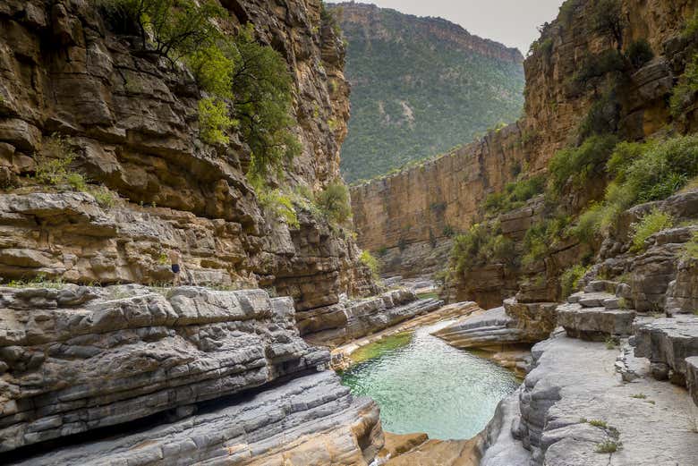 Excursión a Paradise Valley