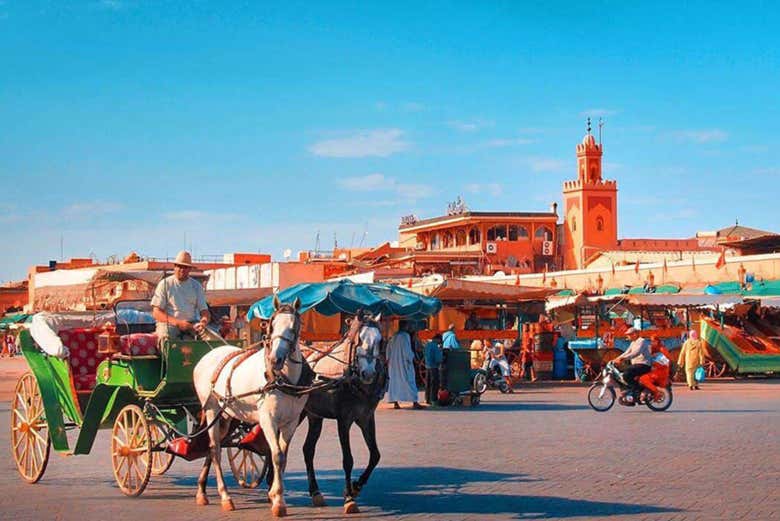 Excursión a Marrakech