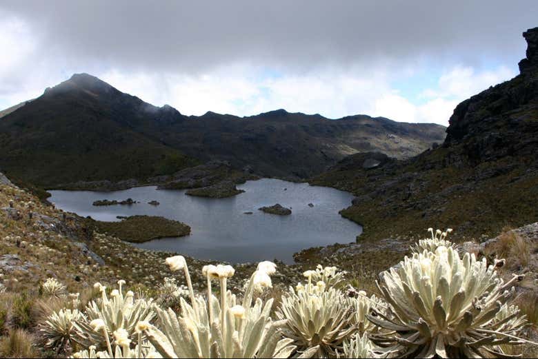 Senderismo por el Páramo de Santurbán