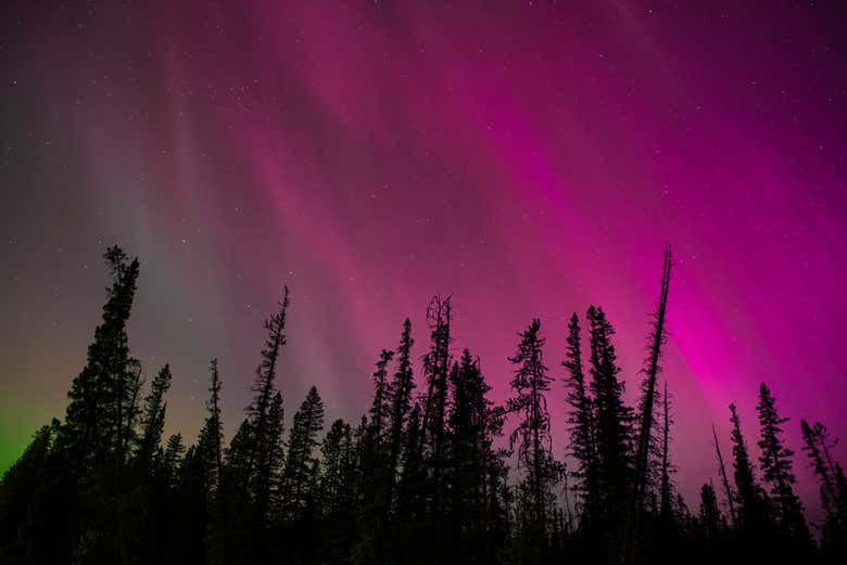 Observación de estrellas y auroras boreales en Banff