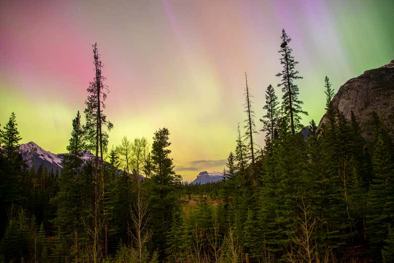Observación de estrellas y auroras boreales en Banff
