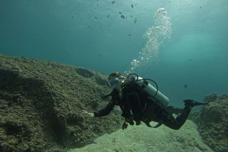 Buceo en las islas Daymaniyat​