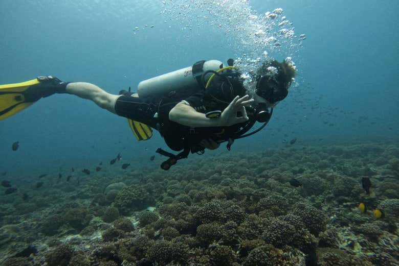 Buceo en las islas Daymaniyat​