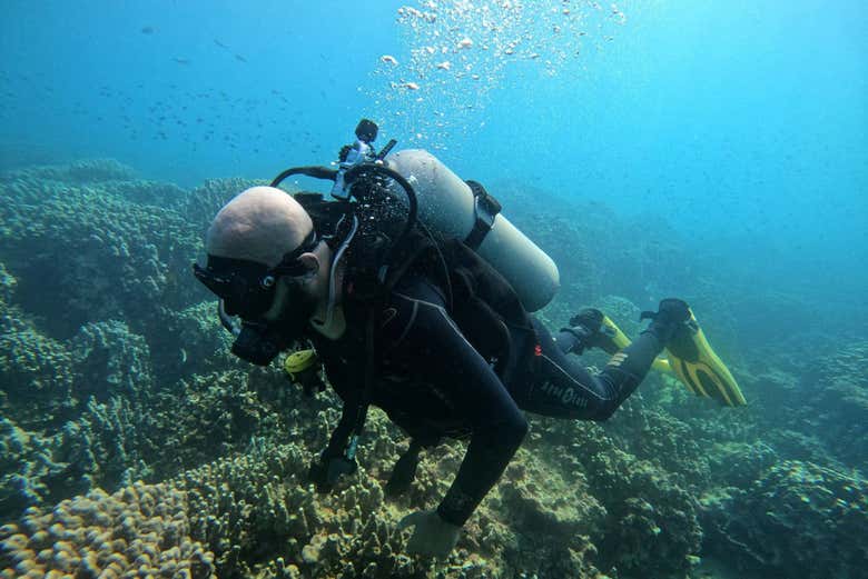 Buceo en las islas Daymaniyat​