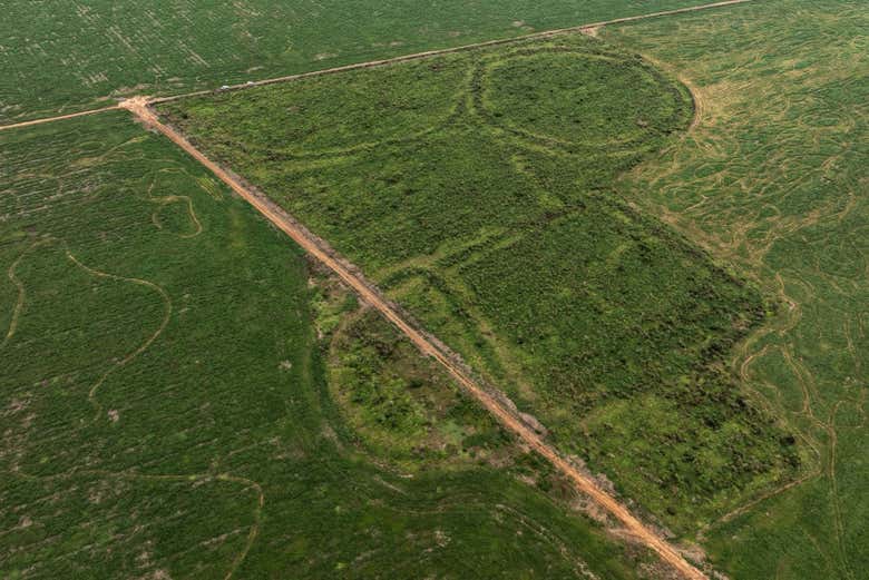 Excursión a los geoglifos de Jacó Sá