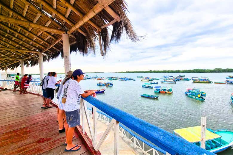 Excursión a los manglares de Tumbes y las playas de Punta Sal y Zorritos
