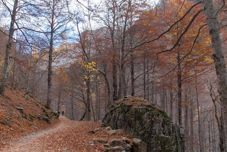 Excursión al Parque Nacional de Ordesa y Monte Perdido
