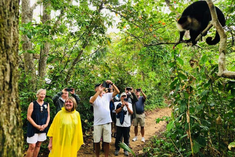 Tour por el Parque Nacional Cahuita para cruceros