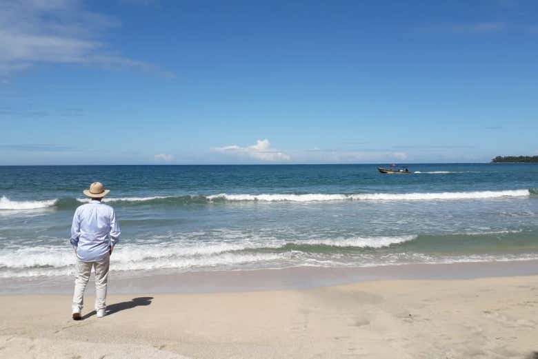 Tour por el Parque Nacional Cahuita para cruceros