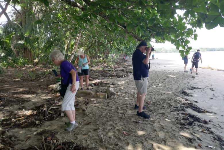 Tour por el Parque Nacional Cahuita para cruceros