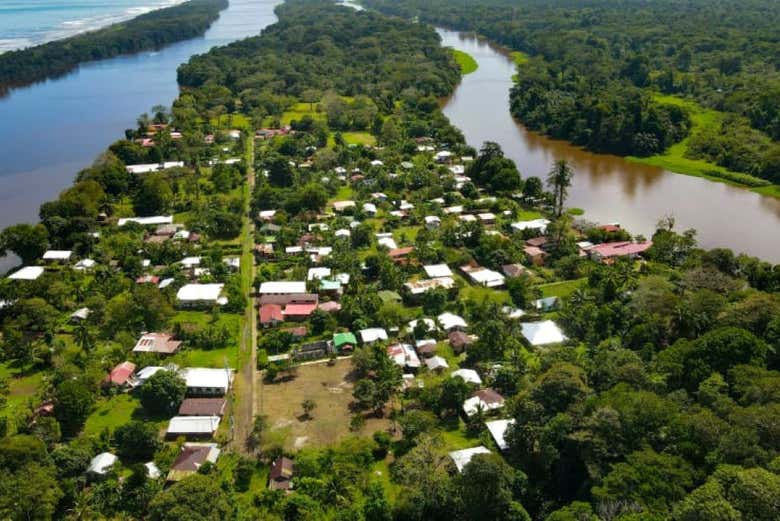 Tour por el Parque Nacional Tortuguero para cruceros
