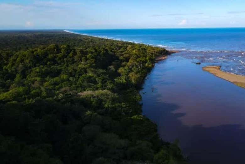 Tour por el Parque Nacional Tortuguero para cruceros