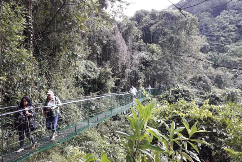 Tour por la Reserva Natural Villa Lapas y el río Tárcoles para cruceros