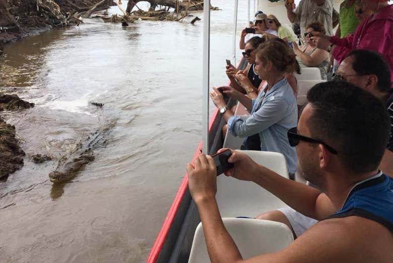 Tour por la Reserva Natural Villa Lapas y el río Tárcoles para cruceros