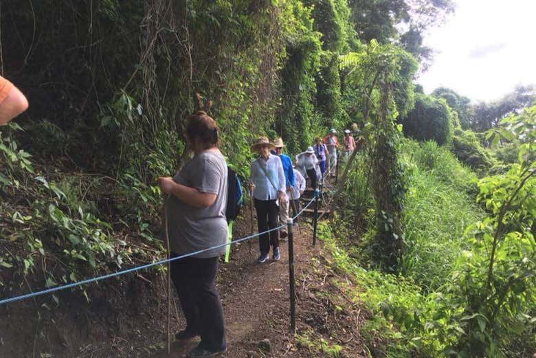 Tour por la Reserva Natural Villa Lapas y el río Tárcoles para cruceros