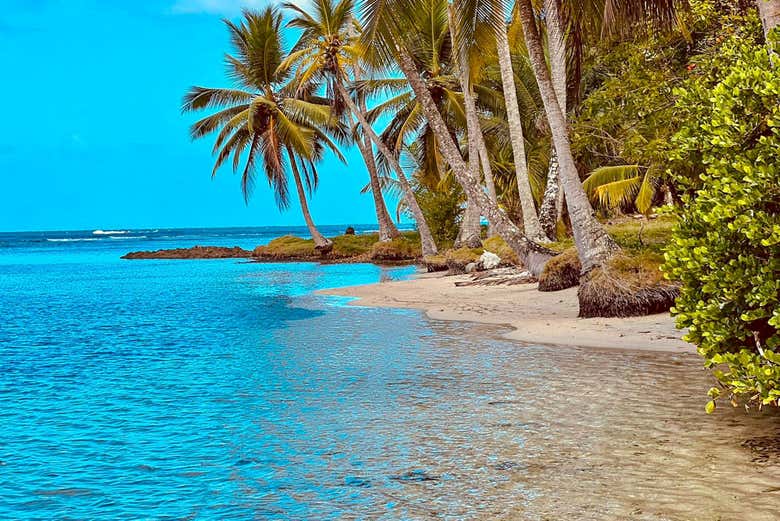 Excursión a Playa Blanca y Venas Azules en catamarán