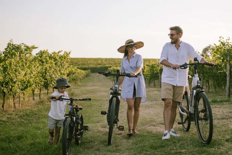 Visita a la bodega Corte Fornello + Alquiler de bicicleta eléctrica