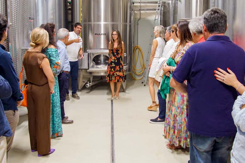 Visita a la bodega Valle delle Ferle con cata de vinos