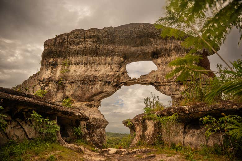 Excursión privada desde San José del Guaviare