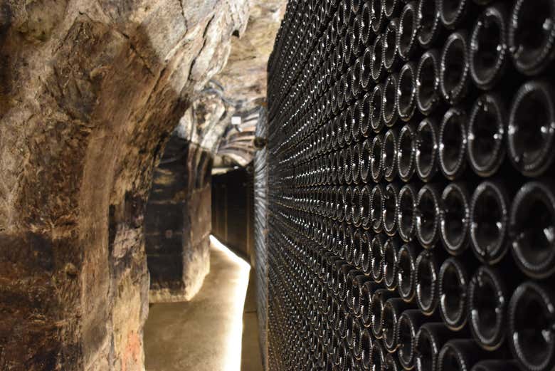 Visita a las Bodegas Manzanos Haro