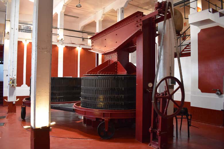 Visita a las Bodegas Manzanos Haro