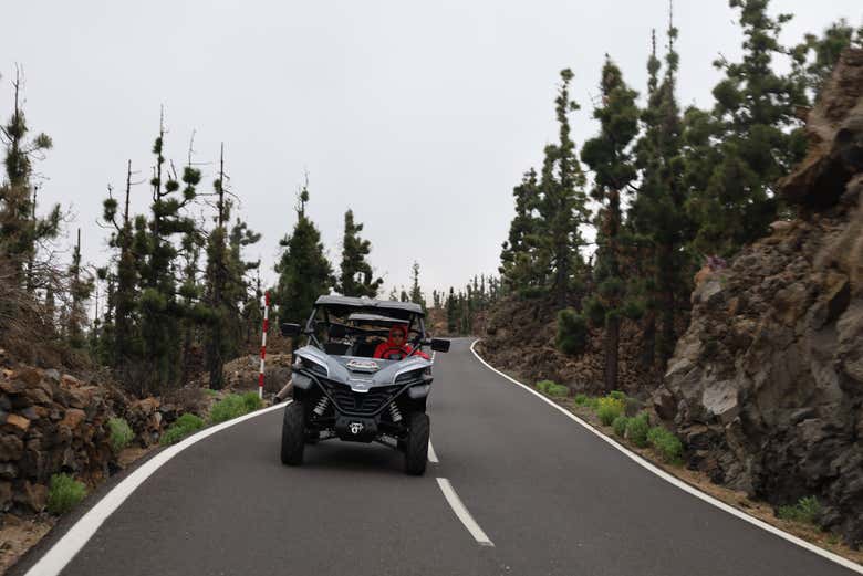Tour en buggy por el Teide
