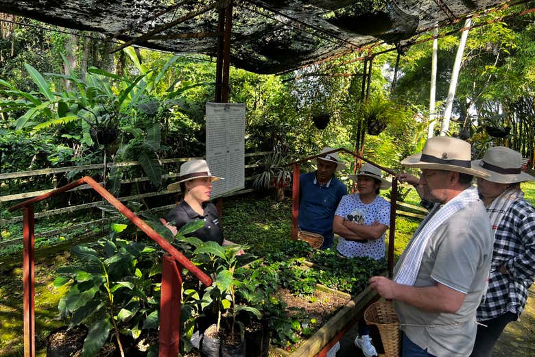 Visita a la finca cafetera Luger