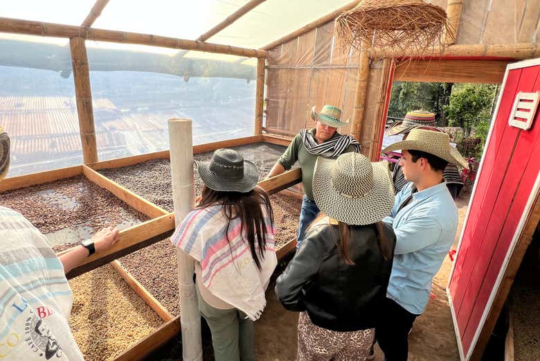 Visita a la finca cafetera Luger