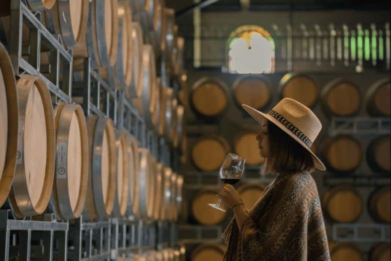 Tour por el Camino del Vino de las Grandes Leyendas del Maipú